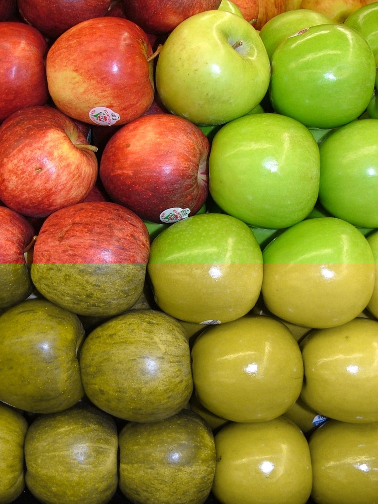 Colour blindness simulation (rang andhapan): red and green apples in normal colour on top and as seen with red-green colour blindness (deuteranopia) below, where both look similar yellow-olive